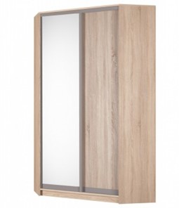 Шкаф Аларти (YA-230х1250(602) (2) Вар. 3; двери D5+D6), с зеркалом в Тольятти