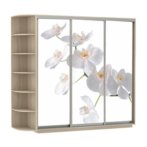 Шкаф 3-х створчатый Е1 Экспресс со стеллажом, 2100х600х2200, Орхидея белая/шимо светлый в Тольятти