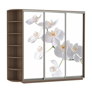 Шкаф 3-дверный Экспресс со стеллажом, 2100х600х2200, Орхидея белая/шимо темный в Тольятти