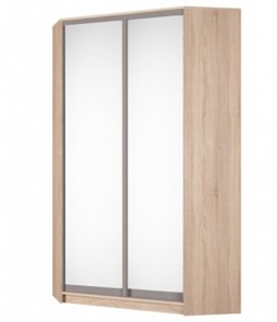 Угловой шкаф Аларти (YA-230х1250(602) (2) Вар. 2; двери D5+D5), с зеркалом в Тольятти