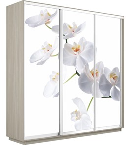 Шкаф 3-створчатый Экспресс 1800х600х2200, Орхидея белая/шимо светлый в Самаре