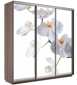Шкаф 3-х створчатый Экспресс 2100х600х2200, Орхидея белая/шимо темный в Самаре
