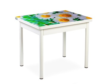 Кухонный пристенный стол СПА-01 СТФ, белый/фотопечать ромашки/опоры прямые белые в Сызрани
