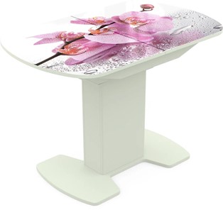 Кухонный стол раскладной Корсика исп. 1 Фотопечать (Цветы №55) 1100(1415)*700 в Самаре