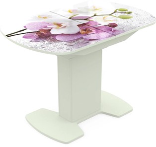 Кухонный стол раскладной Корсика исп. 2 Фотопечать (Цветы №44) 1200(1515)*800 в Тольятти