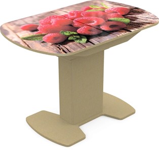 Кухонный стол раскладной Корсика исп. 2 Фотопечать (Фрукты №1) 1200(1515)*800 в Самаре