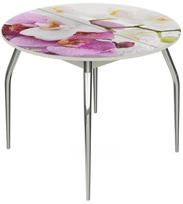 Кухонный стол раскладной Ривьера - Круг, ноги метал. крашеные №24, ФП (Цветы №44) в Тольятти