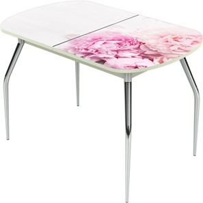 Кухонный стол раскладной Ривьера исп.2 ноги метал. крашеные №24 Фотопечать (Цветы №49) в Самаре