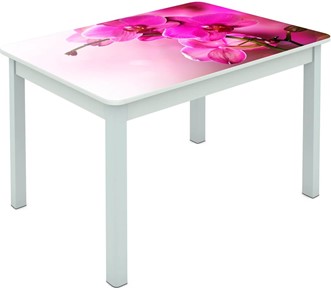 Обеденный стол Мюнхен исп. 1 ноги метал. крашеные №23 Фотопечать (Цветы №16) в Самаре
