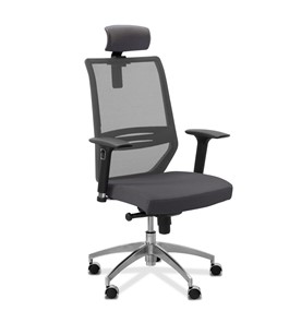 Кресло для руководителя Aero lux с подголовником, сетка/ткань Сахара / серая/серая в Тольятти