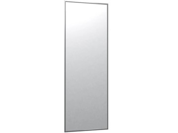 Зеркало навесное Сельетта-5 глянец серебро (1500х500х9) в Тольятти