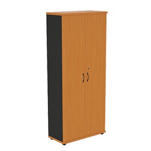 Шкаф 2-дверный Моно-Люкс R5S05 в Сызрани