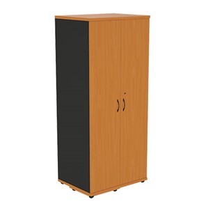 Шкаф для одежды Моно-Люкс G5A05 в Самаре