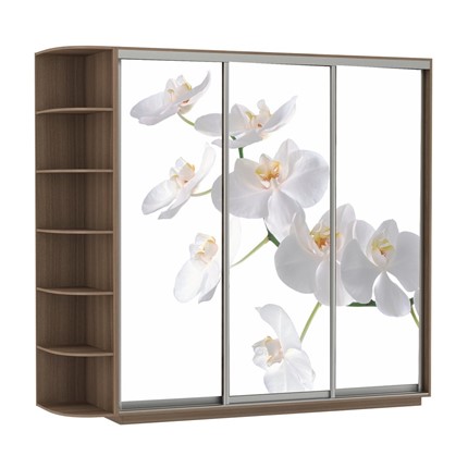 Шкаф 3-дверный Экспресс со стеллажом, 2100х600х2200, Орхидея белая/шимо темный в Тольятти - изображение