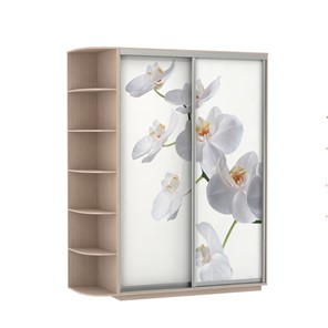 Шкаф 2-дверный Экспресс 1900x600x2200, со стеллажом, Орхидея белая/дуб молочный в Самаре