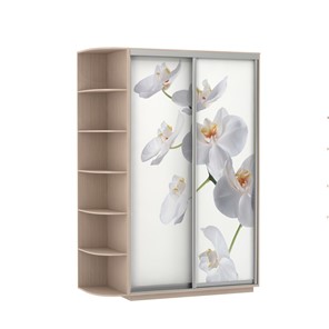 Шкаф 2-х створчатый Экспресс 1700x600x2200, со стеллажом, Орхидея белая/дуб молочный в Тольятти - предосмотр