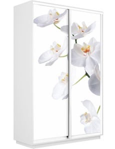 Шкаф-купе Экспресс 1200x600x2200, Орхидея белая/белый снег в Самаре