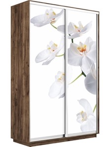 Шкаф 2-дверный Экспресс 1400x450x2400, Орхидея белая/дуб табачный в Тольятти