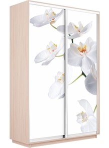 Шкаф 2-створчатый Экспресс 1400x600x2200, Орхидея белая/дуб молочный в Тольятти