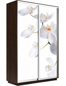 Шкаф-купе Экспресс 1400x600x2400, Орхидея белая/венге в Самаре