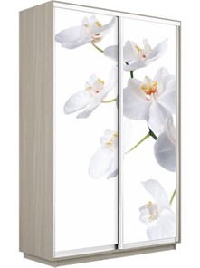 Шкаф 2-дверный Экспресс 1600x450x2200, Орхидея белая/шимо светлый в Самаре