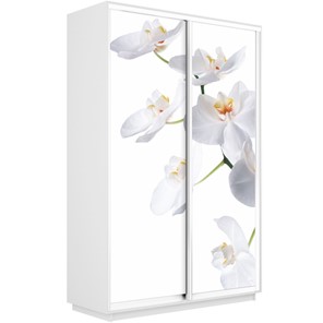 Шкаф Экспресс 1600x450x2400, Орхидея белая/белый снег в Тольятти - предосмотр