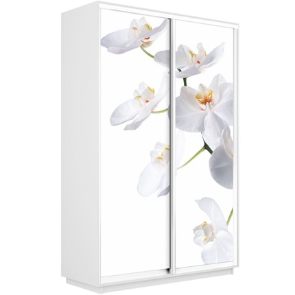Шкаф Экспресс 1600x450x2400, Орхидея белая/белый снег в Тольятти - изображение