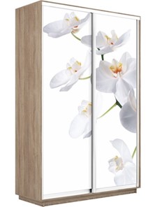Шкаф 2-х дверный Экспресс 1600x450x2400, Орхидея белая/дуб сонома в Тольятти - предосмотр