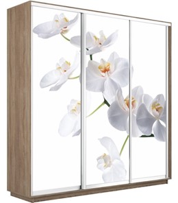Шкаф 3-створчатый Экспресс 1800х450х2200, Орхидея белая/дуб сонома в Тольятти
