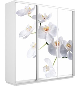 Шкаф 3-х створчатый Экспресс 2100х450х2400, Орхидея белая/белый снег в Тольятти