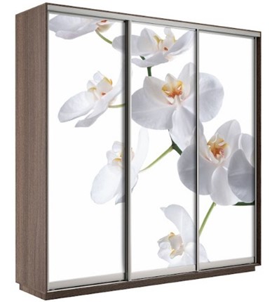Шкаф 3-х створчатый Экспресс 2100х600х2200, Орхидея белая/шимо темный в Самаре - изображение