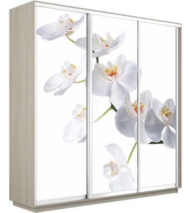 Шкаф 3-дверный Экспресс 2400х600х2400, Орхидея белая/шимо светлый в Тольятти - изображение