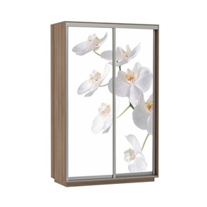 Шкаф 2-створчатый Экспресс 1200x600x2400, Орхидея белая/шимо темный в Тольятти