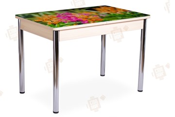 Кухонный раскладной стол Айсберг-02 СТФ, Дуб ЛДСП/полевые цветы/ноги хром прямые в Самаре - предосмотр
