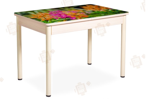 Кухонный раздвижной стол Айсберг-02 СТФ, Дуб ЛДСП/полевые цветы/ноги крашеные в Тольятти - изображение