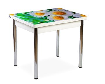Кухонный пристенный стол СПА-01 СТФ, белый/фотопечать ромашки/опоры прямые хром в Самаре