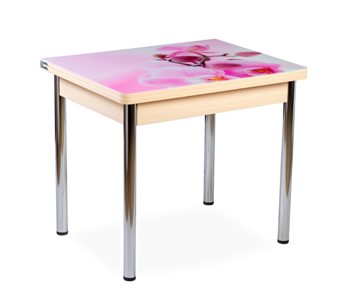 Кухонный пристенный стол СПА-01 СТФ, молочный дуб/фотопечать орхидея/опоры прямые хром в Самаре - предосмотр