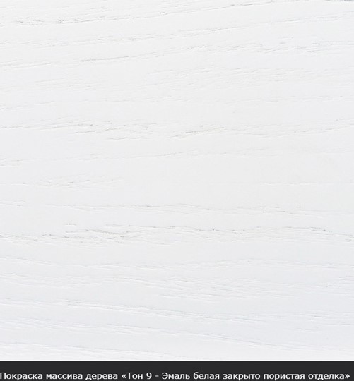 Стол раздвижной Фабрицио-1 исп. Эллипс, Тон 9 (Морилка/Эмаль) в Тольятти - изображение 16