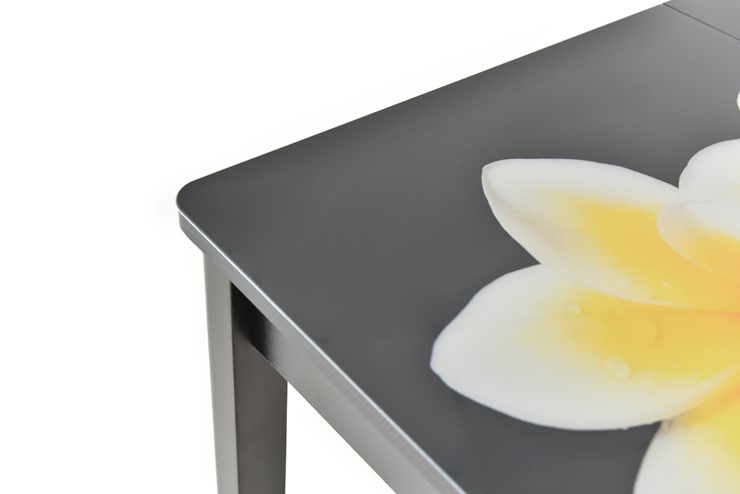 Кухонный стол раздвижной Гамбург исп. Мини, ноги метал. крашеные №23, Фотопечать (Фрукты №32) в Самаре - изображение 9