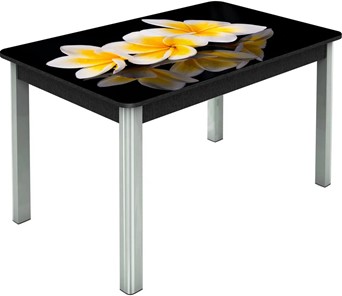 Кухонный стол раскладной Гамбург исп.1 ноги метал. крашеные №23, Фотопечать (Цветы №11) в Самаре - предосмотр