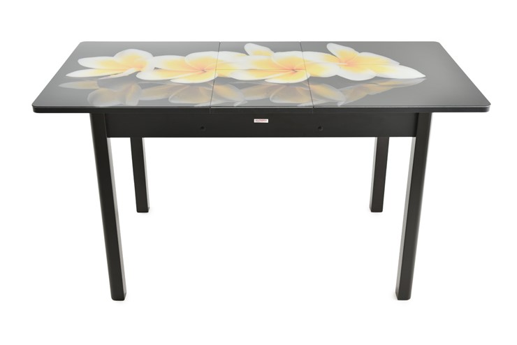Кухонный стол раскладной Гамбург исп.1 ноги метал. крашеные №23, Фотопечать (Цветы №11) в Самаре - изображение 7