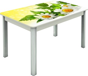 Кухонный стол раскладной Гамбург исп.2 ноги метал. крашеные №23, Фотопечать (Цветы №3) в Тольятти