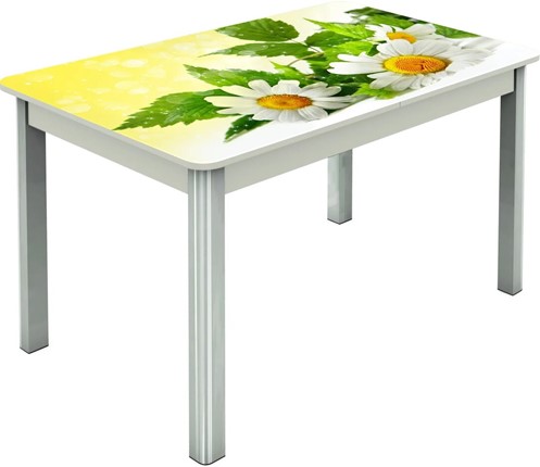 Кухонный стол раскладной Гамбург исп.2 ноги метал. крашеные №23, Фотопечать (Цветы №3) в Самаре - изображение