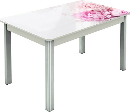 Кухонный раскладной стол Гамбург исп.2 ноги метал. крашеные №23, Фотопечать (Цветы №49) в Самаре - изображение