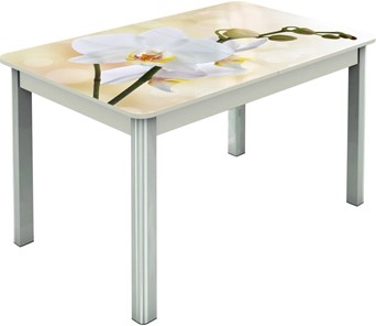 Раздвижной стол Гамбург исп.2 ноги метал. крашеные №23, Фотопечать (Цветы №5) в Сызрани