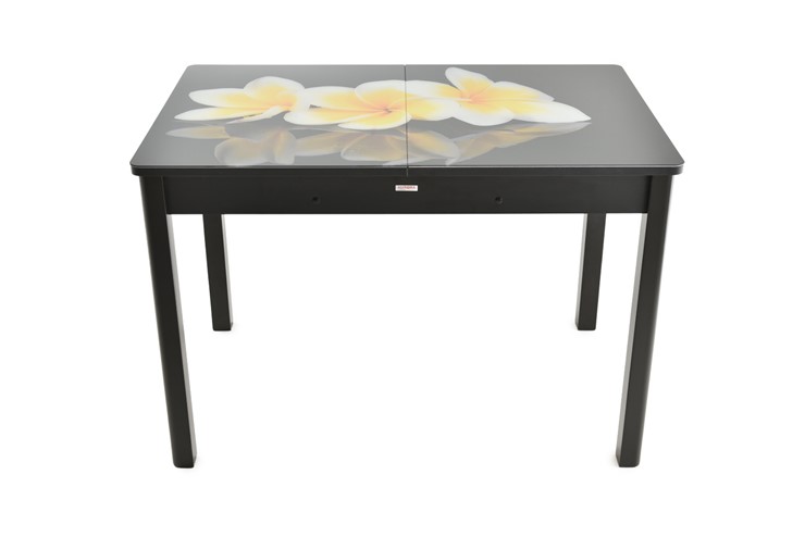 Обеденный раздвижной стол Гамбург Мини, ноги метал. крашеные №23 (Exclusive h140/черный) в Самаре - изображение 7