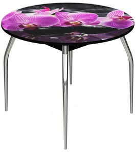Раздвижной стол Ривьера - Круг, ноги метал. крашеные №24, ФП (Цветы №30) в Самаре