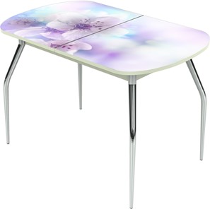 Обеденный раздвижной стол Ривьера исп.1 ноги метал. крашеные №24 Фотопечать (Цветы №40) в Самаре