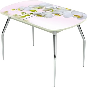 Кухонный стол раскладной Ривьера исп.1 ноги метал. крашеные №24 Фотопечать (Цветы №7) в Тольятти