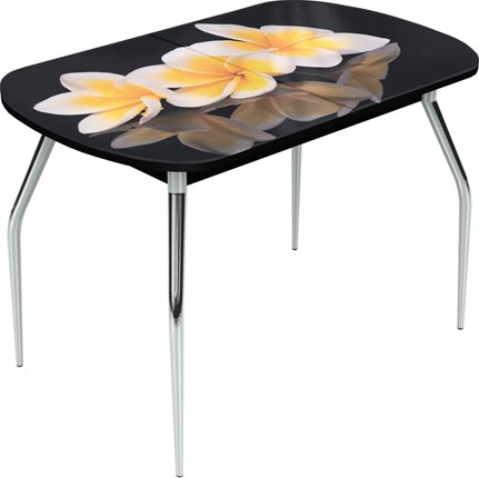 Кухонный раздвижной стол Ривьера исп.2 ноги метал. крашеные №24 Фотопечать (Цветы №11) в Тольятти - изображение